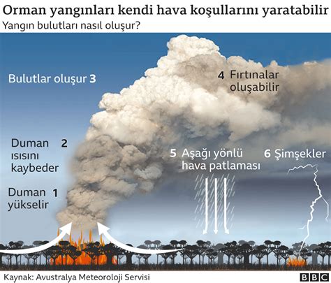 Orman Yangınları ve İklim Değişikliği: Kuraklık, Sıcaklık Artışı ve Yangınların Yayılma Hızı